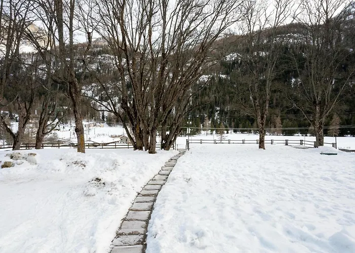 Apartamento In The Historic Building, Con Aria Condizionata *